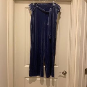 Blue Velvet Pants💙